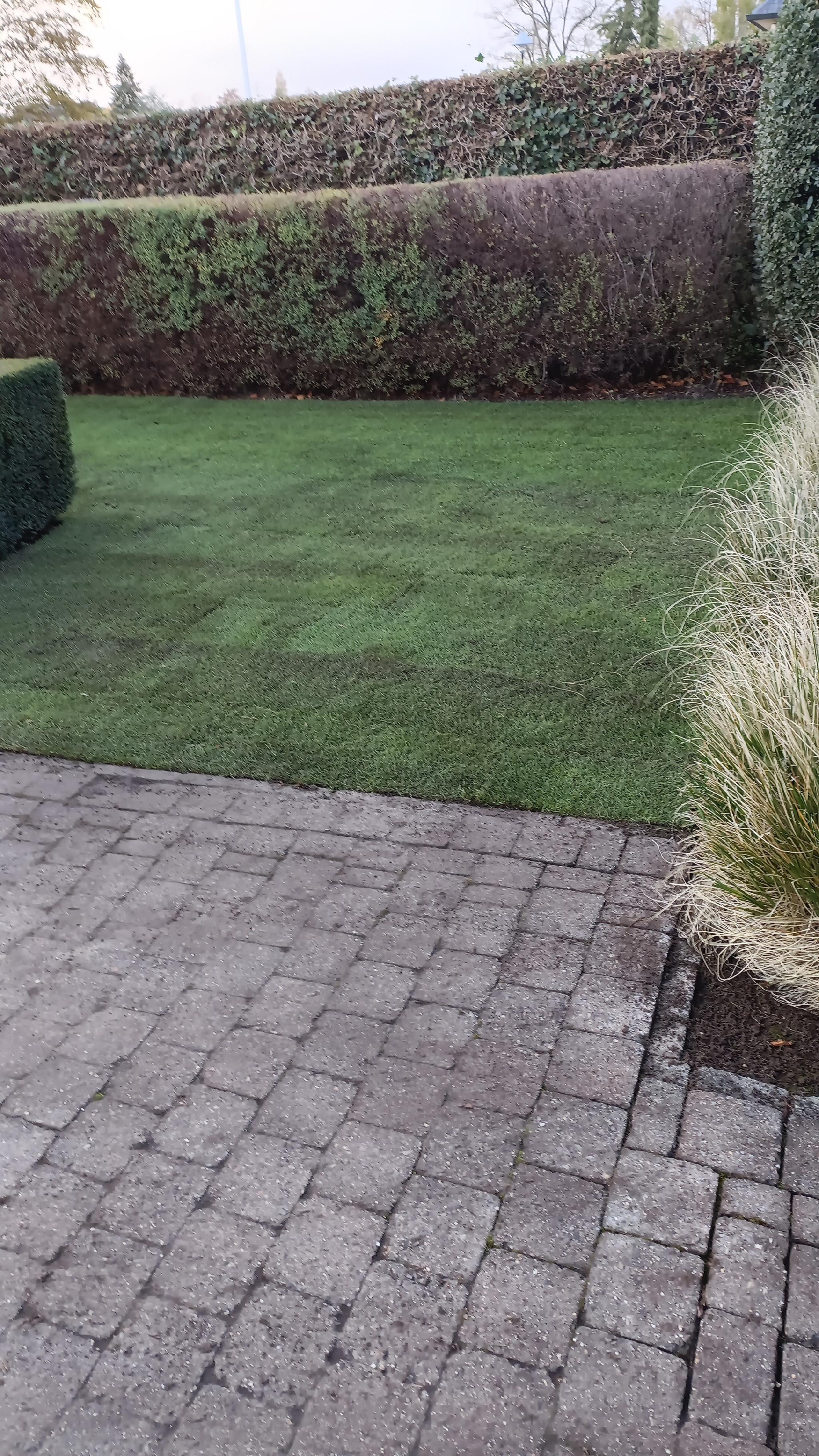 Portfolio afbeelding