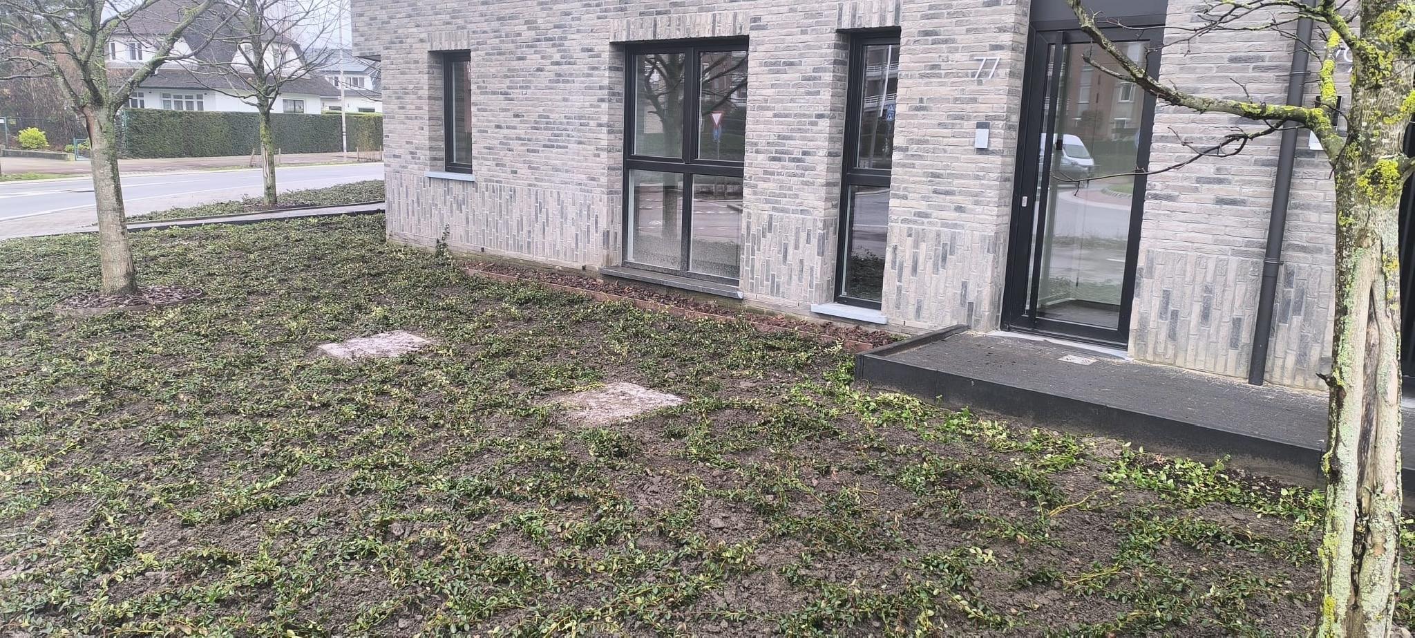 Portfolio afbeelding