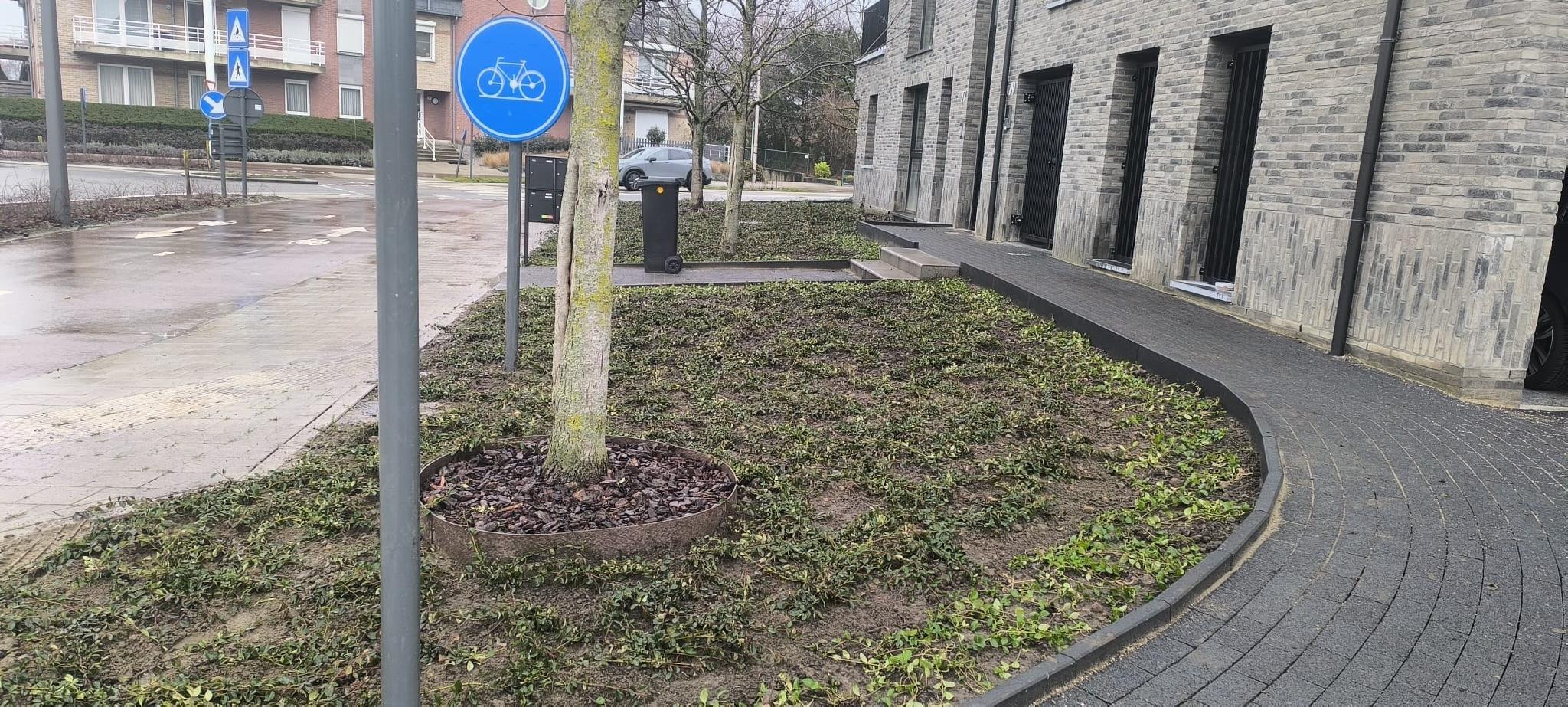 Portfolio afbeelding