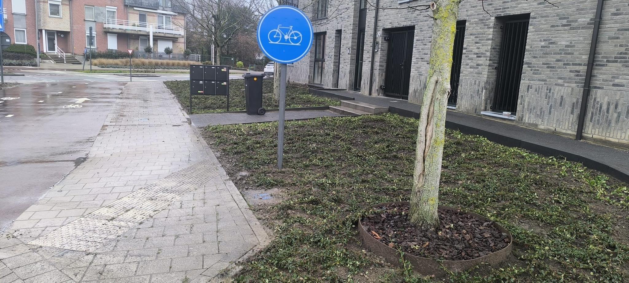 Portfolio afbeelding