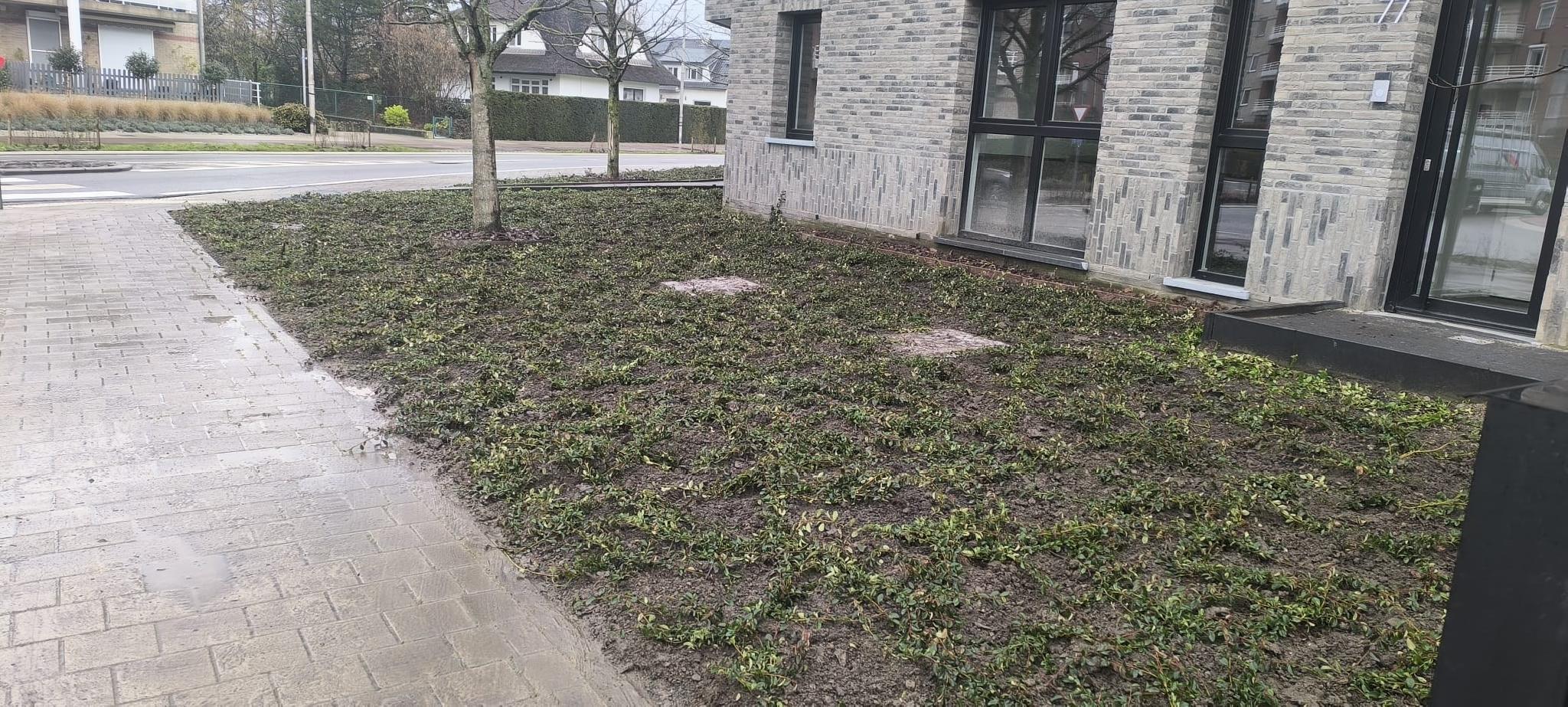 Portfolio afbeelding