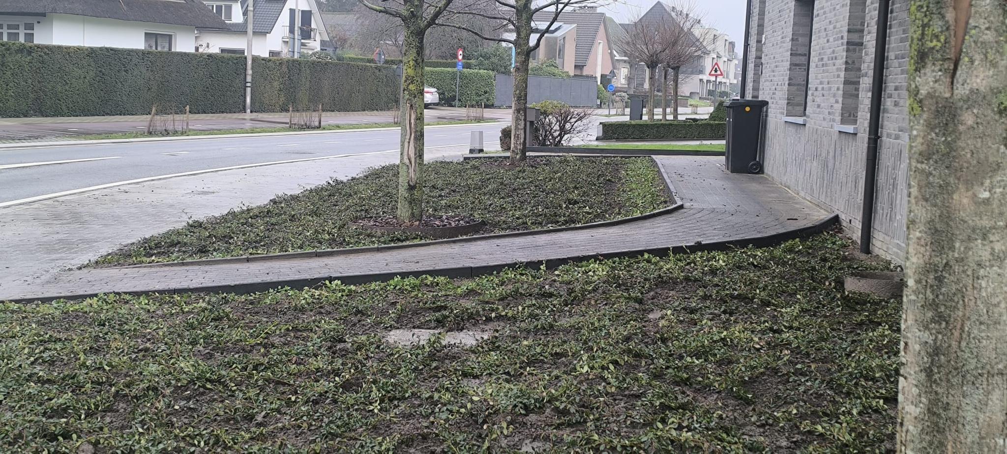 Portfolio afbeelding