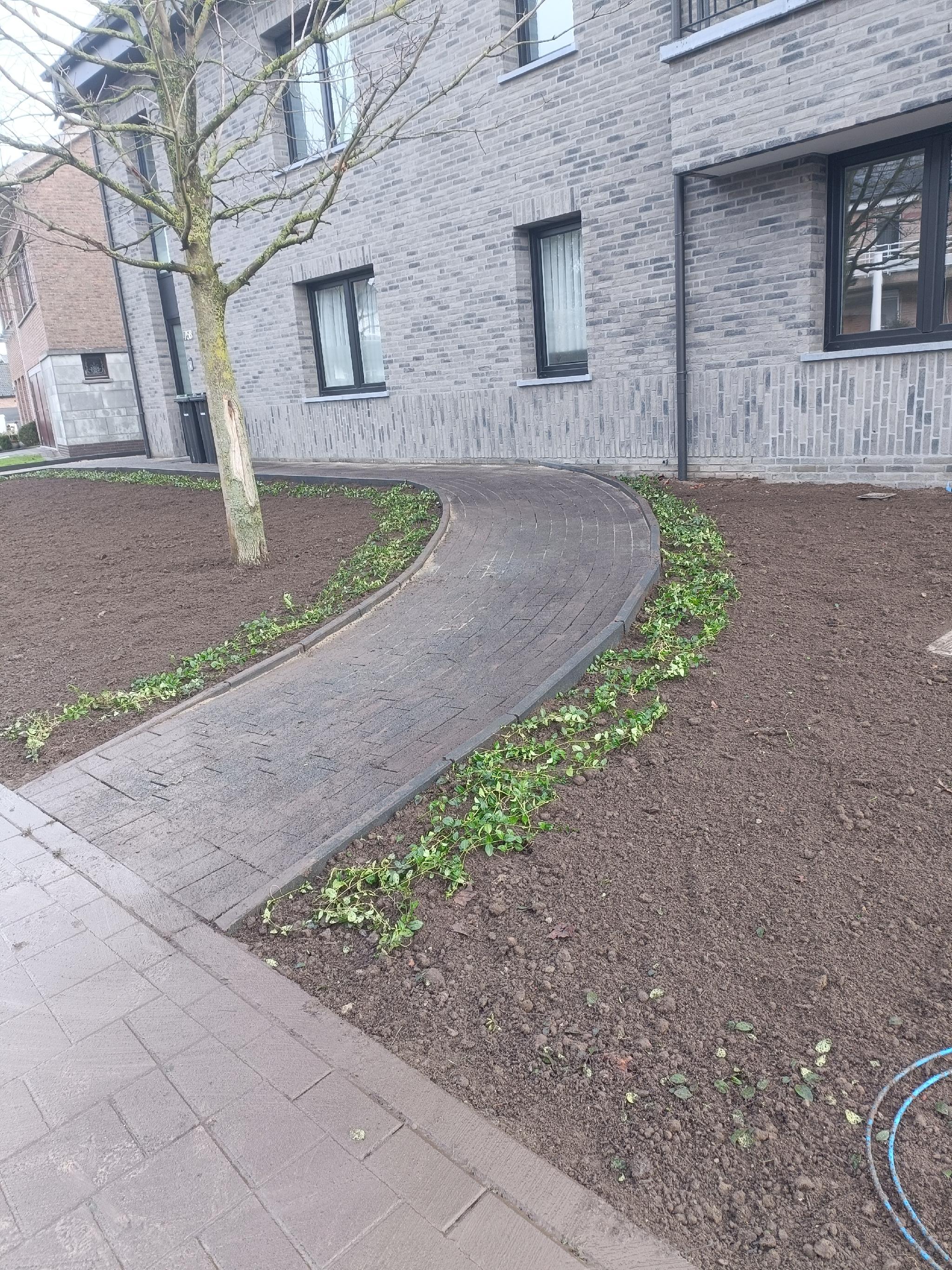 Portfolio afbeelding