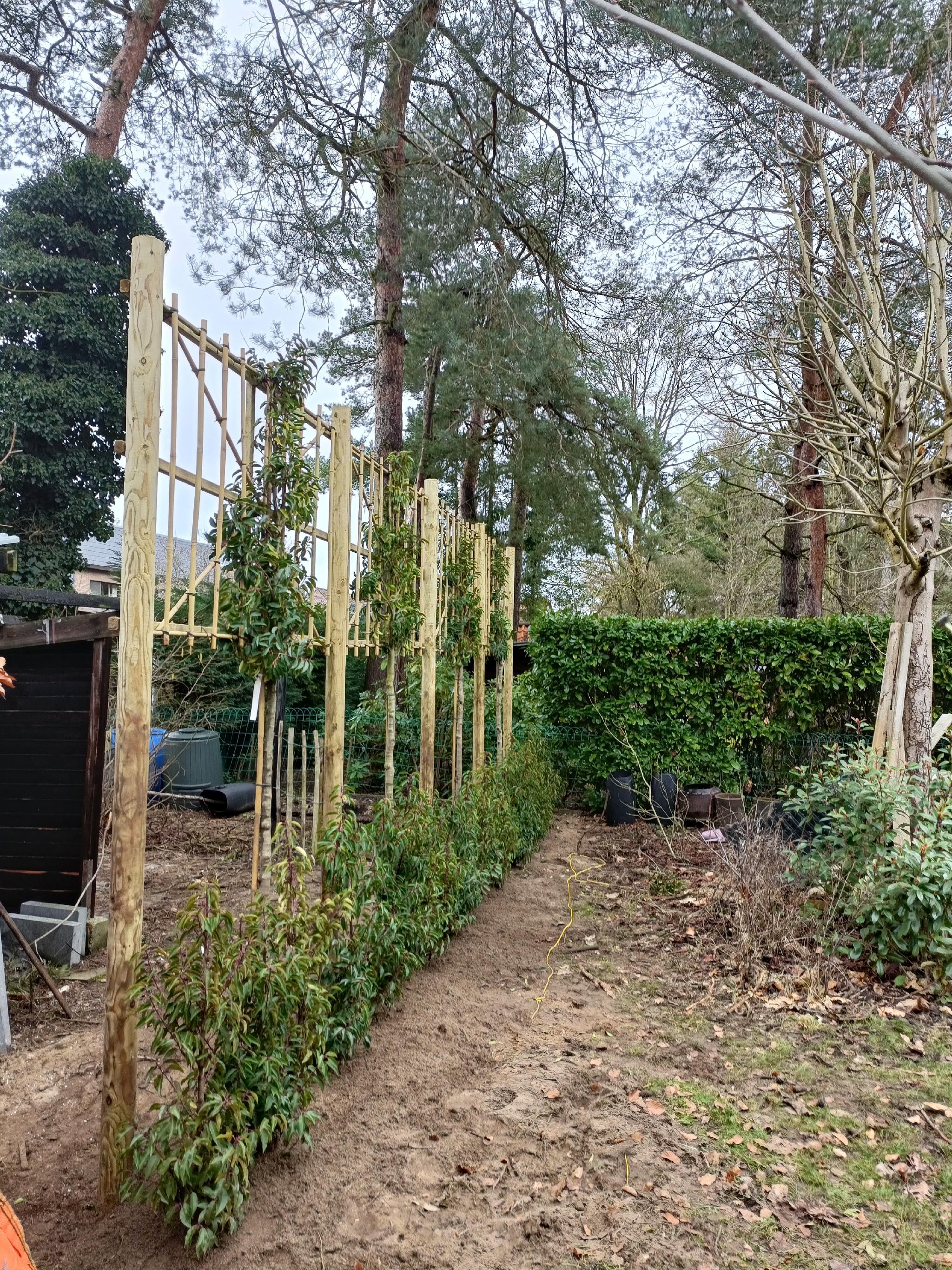 Portfolio afbeelding