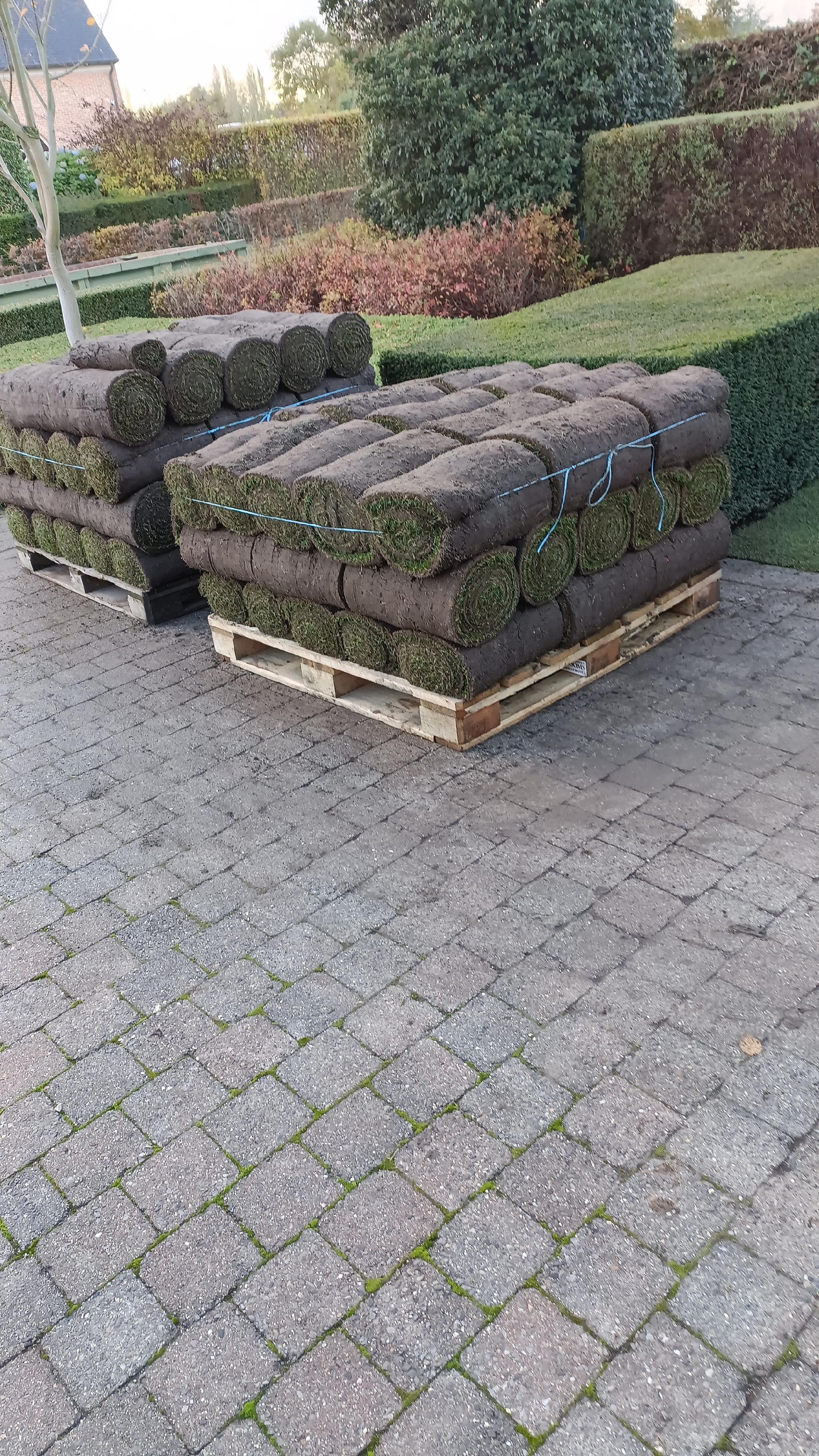 Portfolio afbeelding