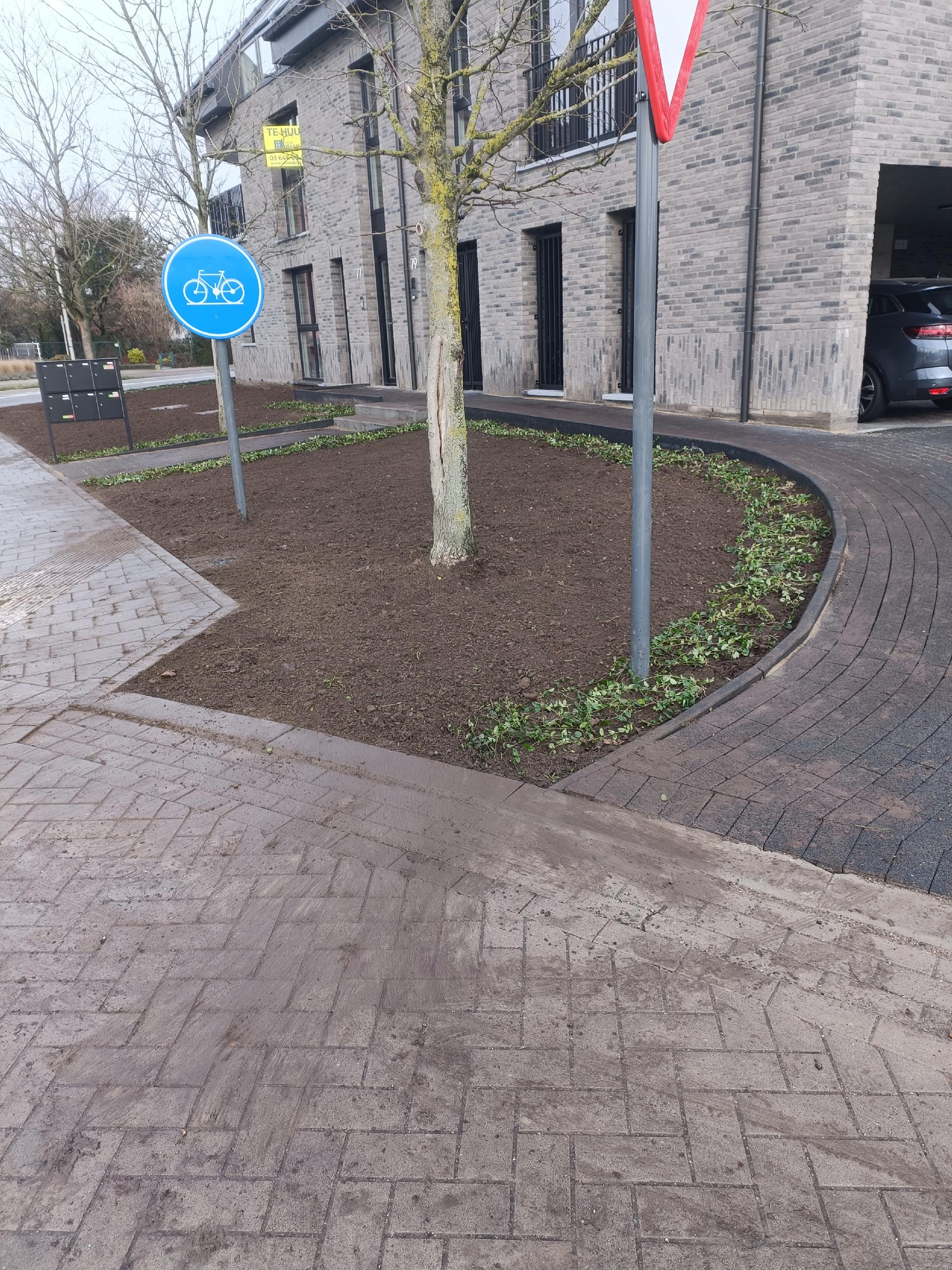 Portfolio afbeelding