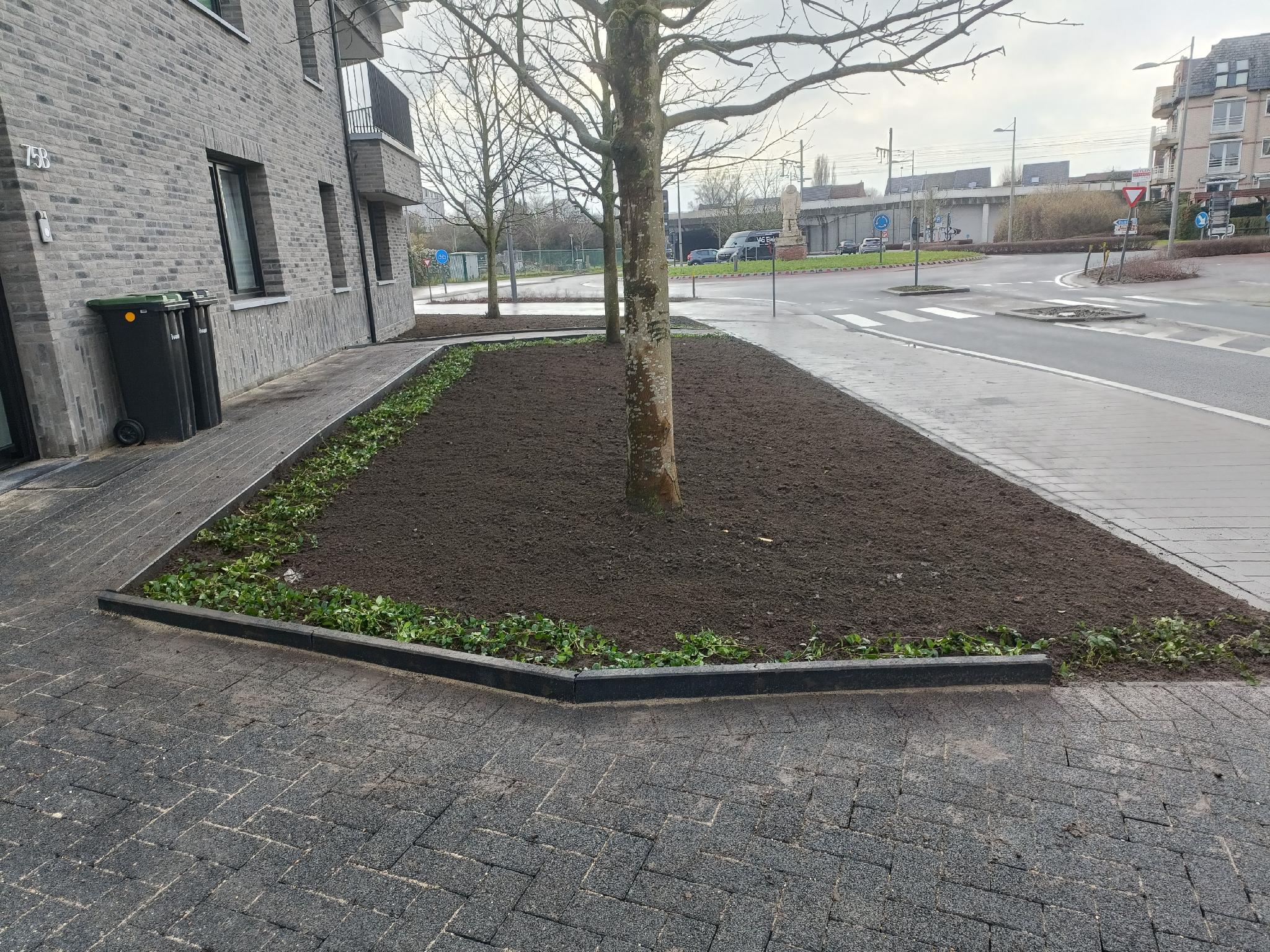 Portfolio afbeelding