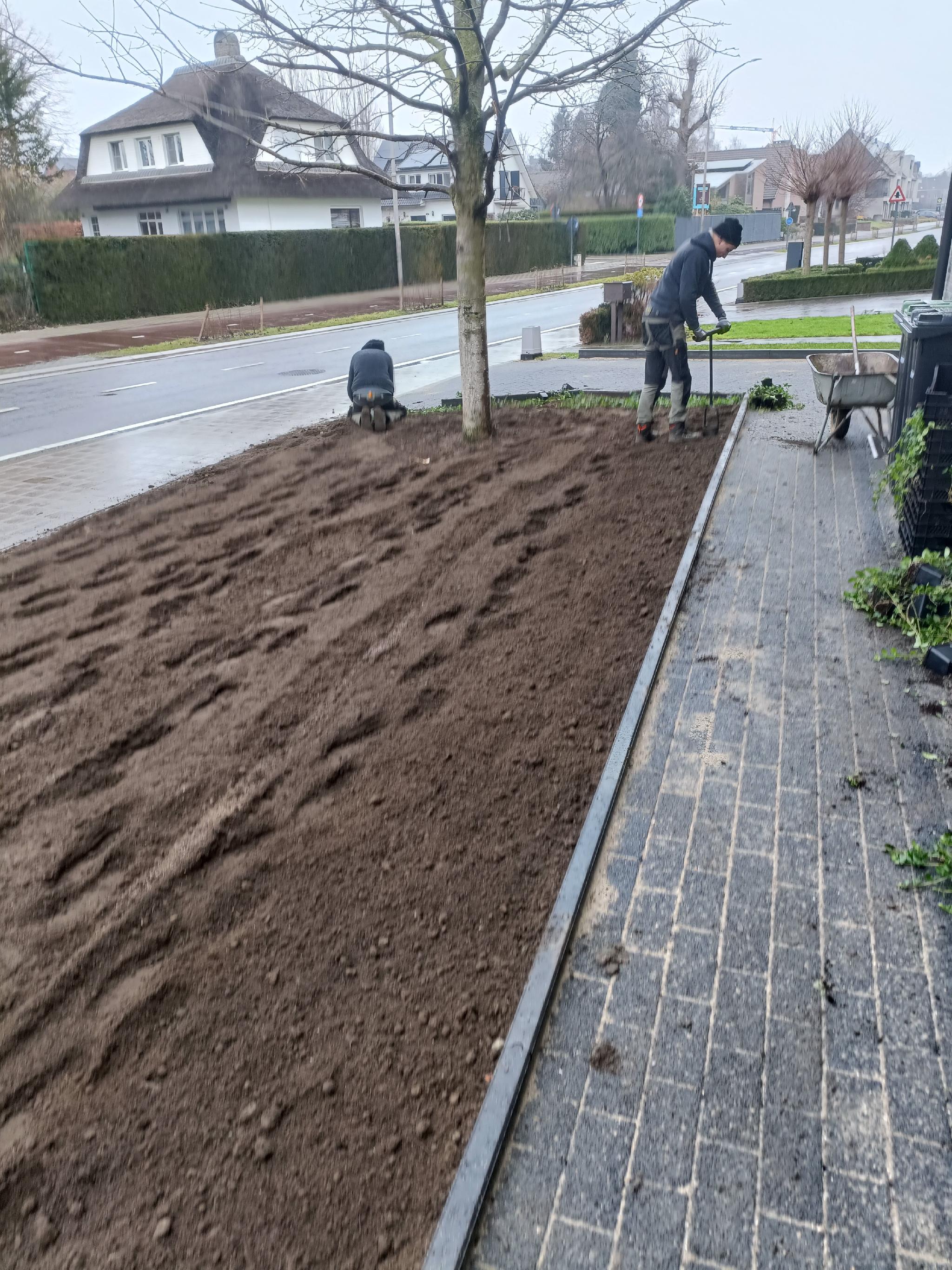 Portfolio afbeelding