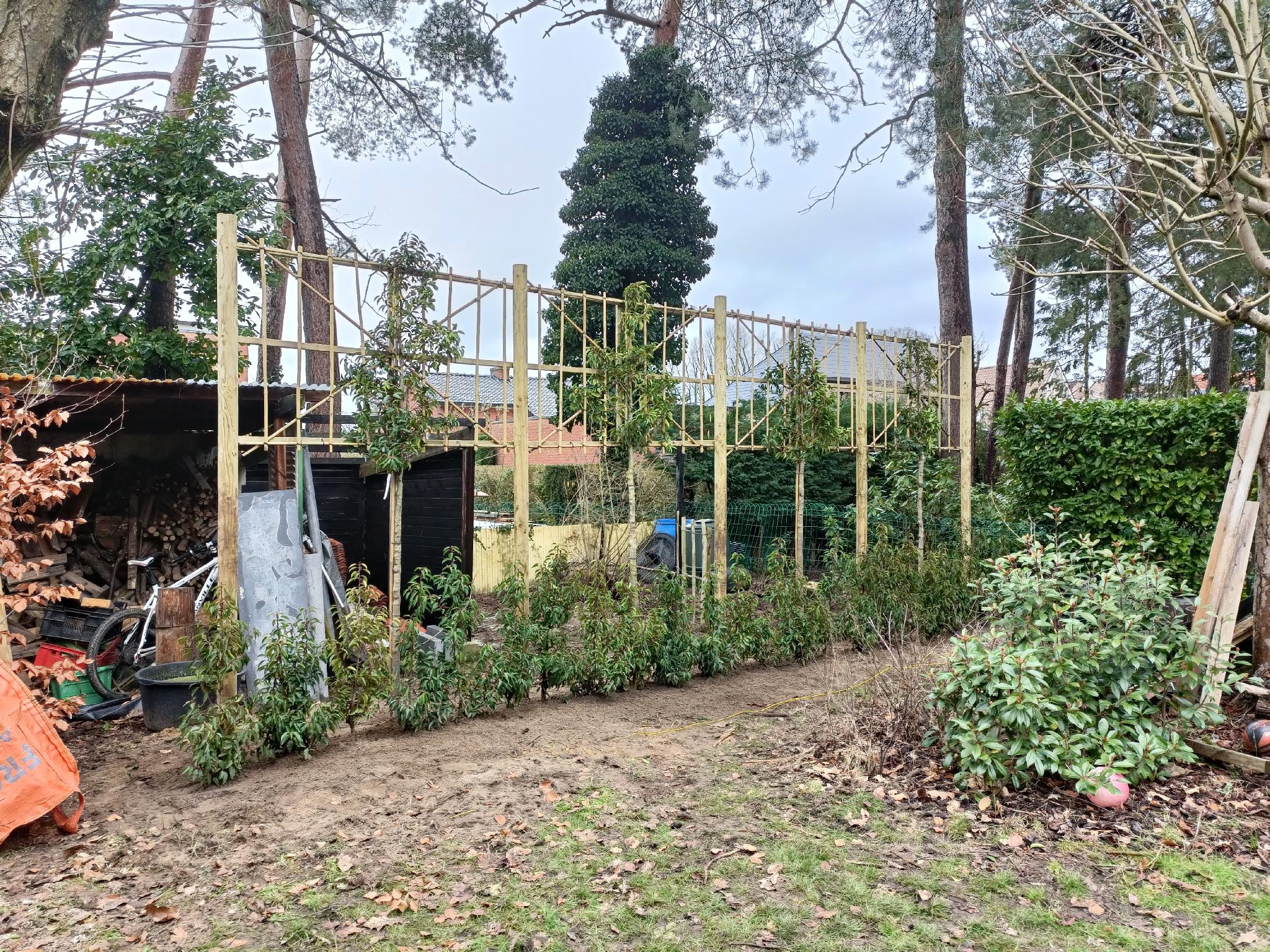 Portfolio afbeelding