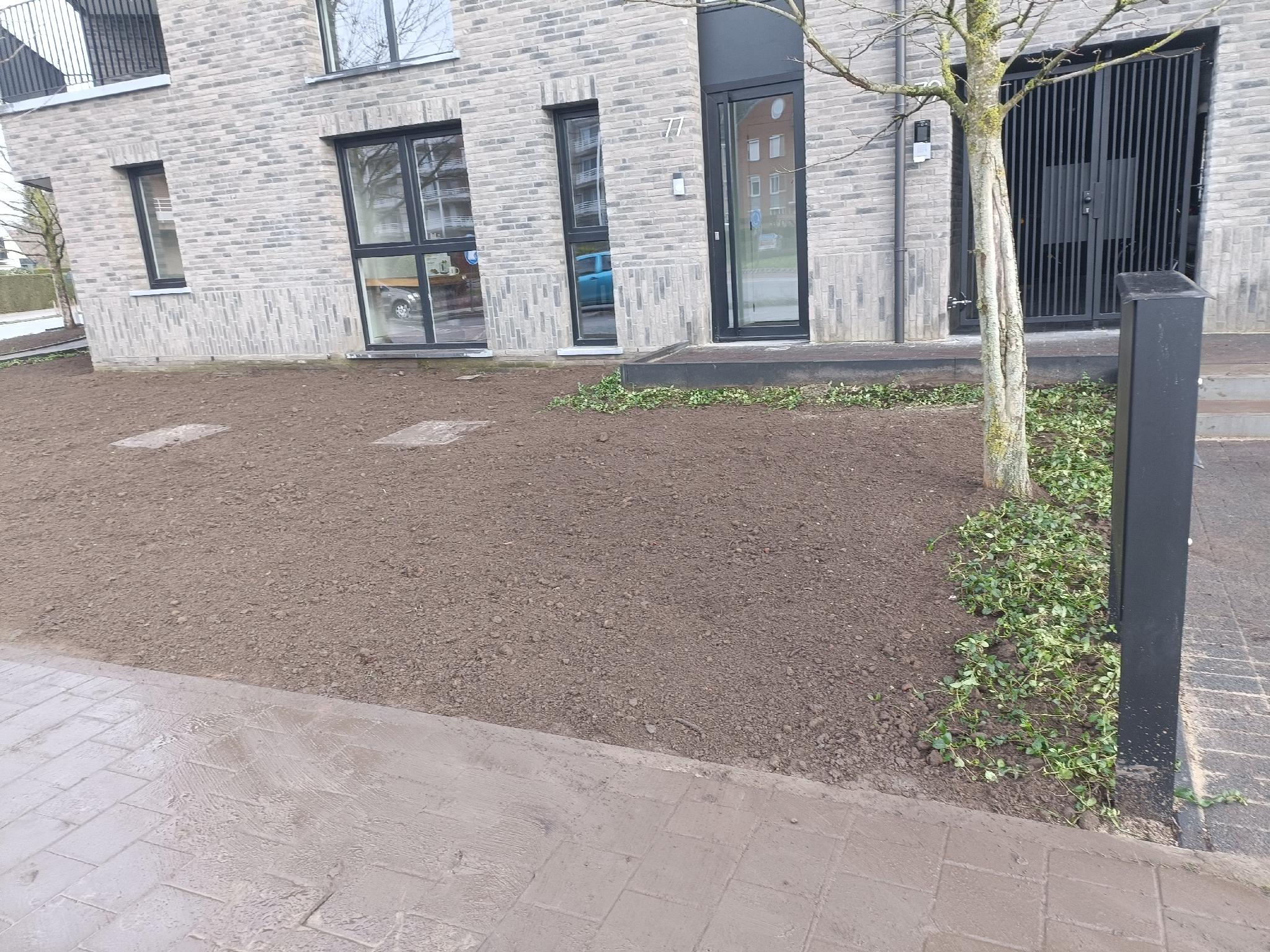 Portfolio afbeelding